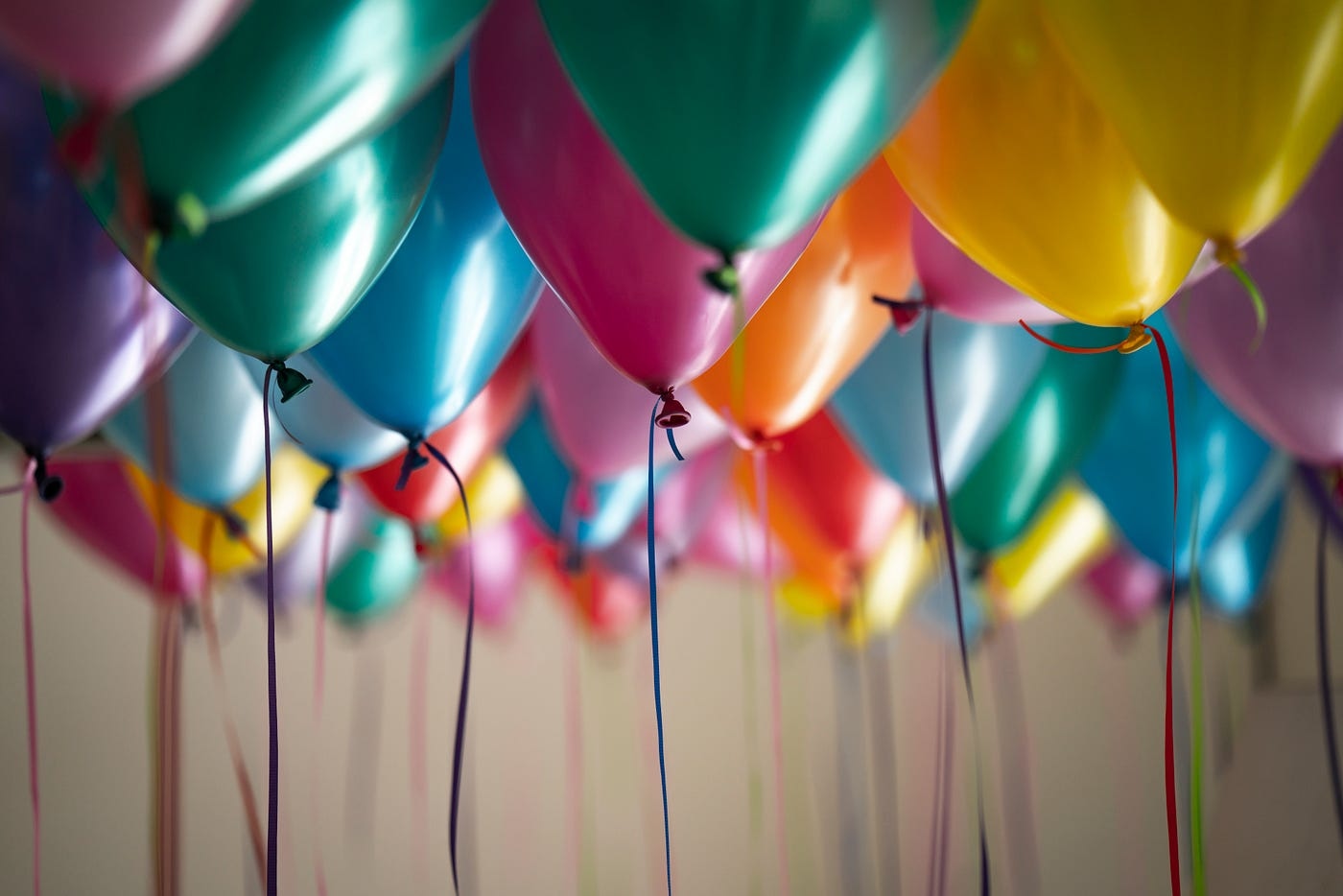 Zitate zum 70. Geburtstag für Haustiere: Witzige und süße Texte