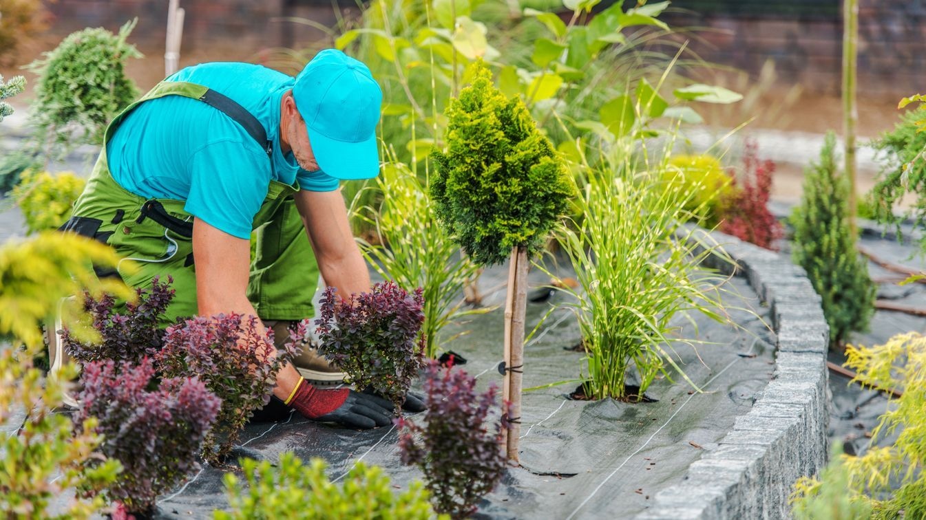 Perfekte Ergebnisse für Hof &amp; Garten – Top-Service für Pflasterarbeiten Wolfenbüttel