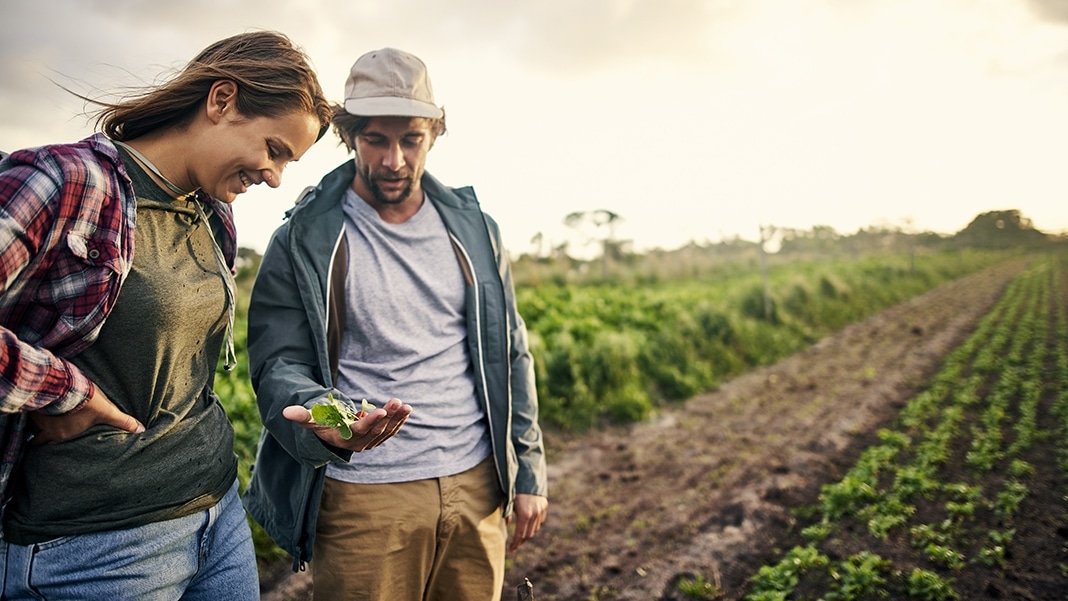 Arbeit für Landwirtschaftshelfer: Erfahrene Unterstützung für Ihren Betrieb finden