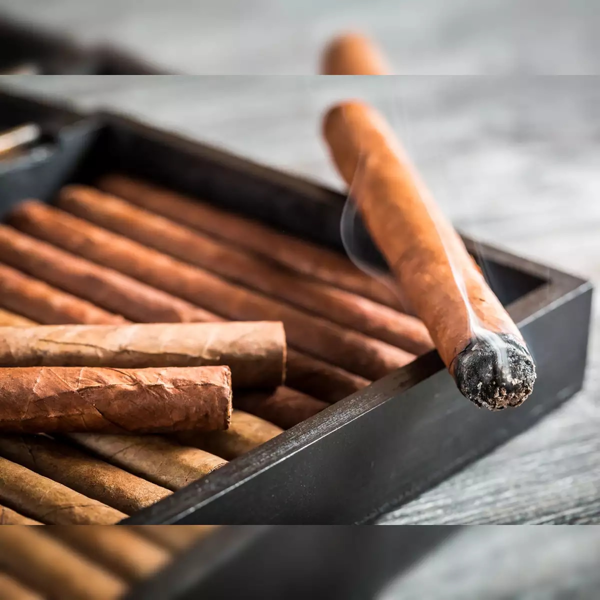 Entdecken Sie die Vielfalt unserer Zigarrenkollektion bei C-Cigars