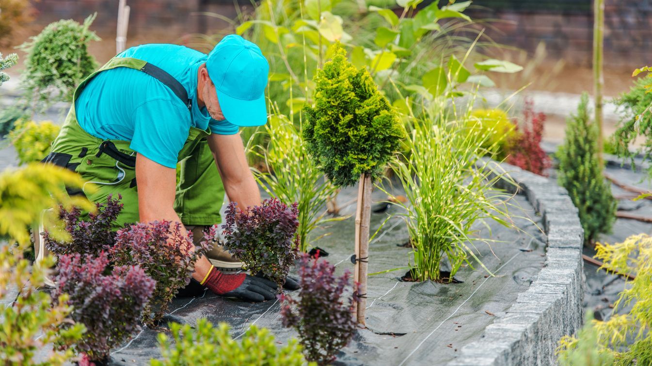 Perfekte Ergebnisse für Hof & Garten – Top-Service für Pflasterarbeiten Wolfenbüttel